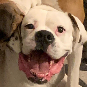 Meet your Posher, Mia